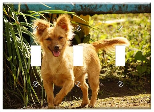 Placa de interruptor triple palanca My Dogs The Field Armenia Quindio 6