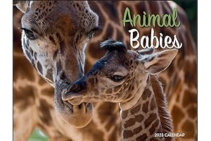 Wild Animal Calendar 2023 | Cute Animal Babies Wall Hanging Calendar 2023