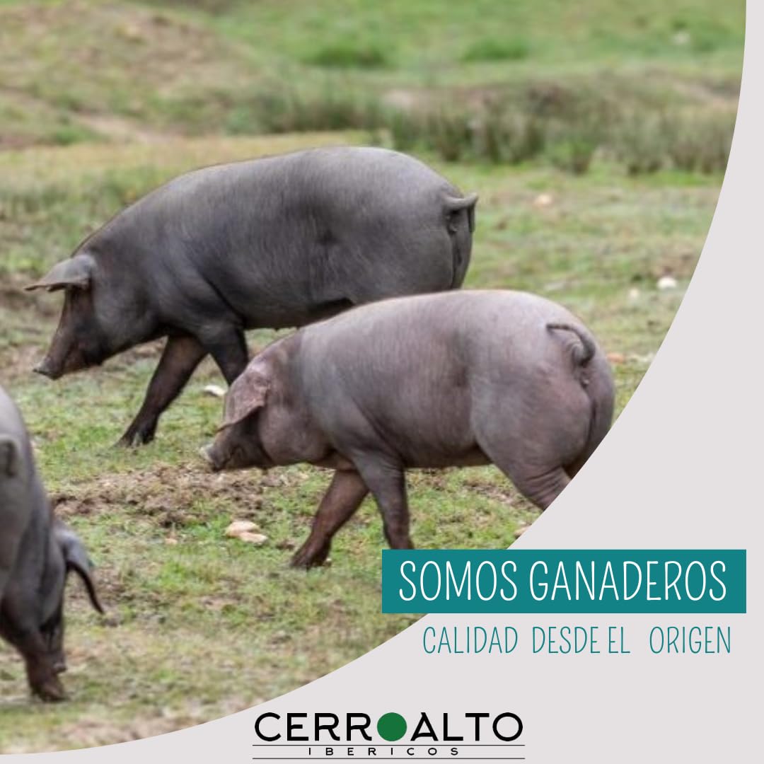 CERROALTO | Lomo Embuchado de Bellota 100% Ibérico | Caña Curada en Bodega Natural | Pieza de 500 g a 600 g | Sin Azúcares ni Conservantes | Sabor Intenso y Veteado del Auténtico Cerdo de la Montanera