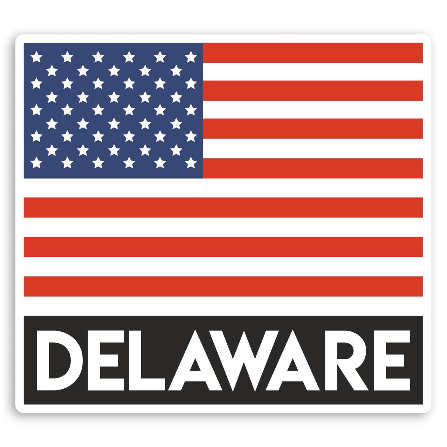 Destination Vinyl Ltd Multi 2 X 10Cm Delaware Us State Vinyl Stickers - Usa America Luggage Sticker #31900 (10Cm Wide)