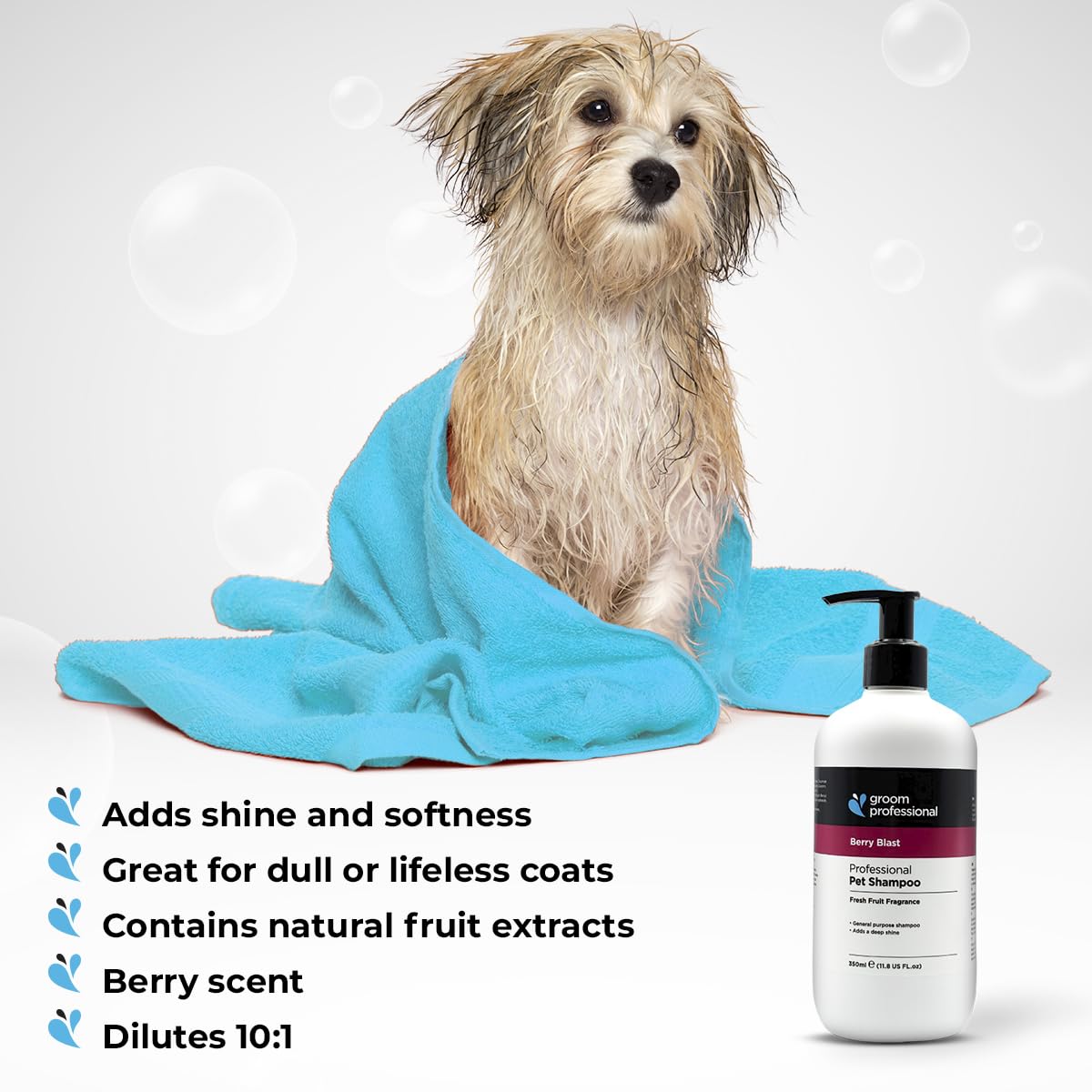 Groom Professional Berry Blast Dog Shampoo (4 L) – Salon Size 10 : 1 Concentrate with Natural Berry Extracts, Deep Cleansing and Moisturising Formula, Restores Shine and Freshness, Made in UK
