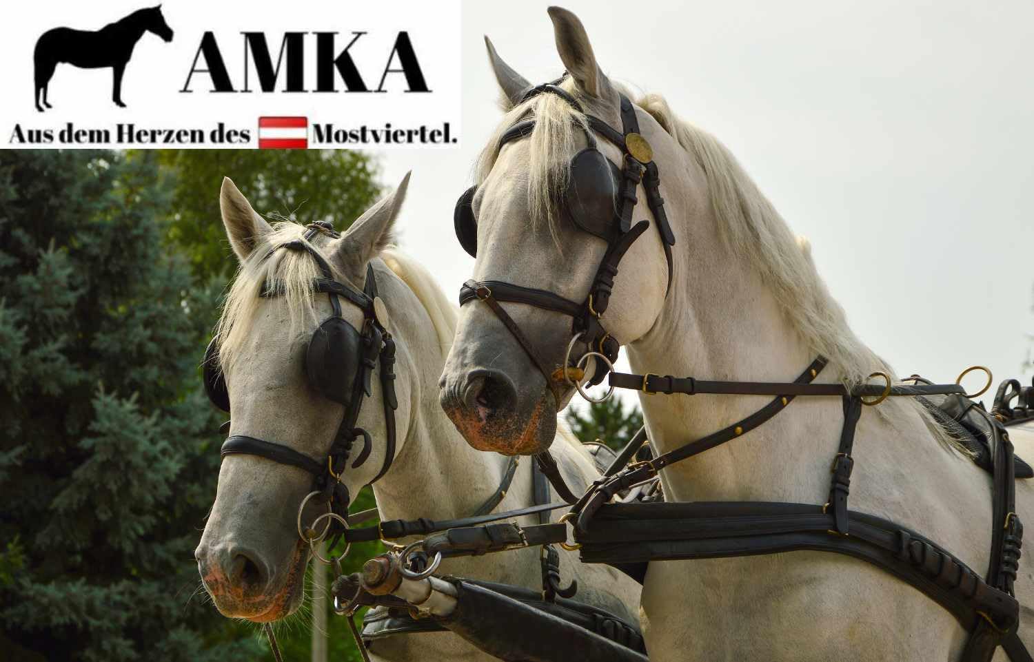 AMKA Einspännerleine Aus Leinenleder - Für Kleinpferd Bis Kaltblut