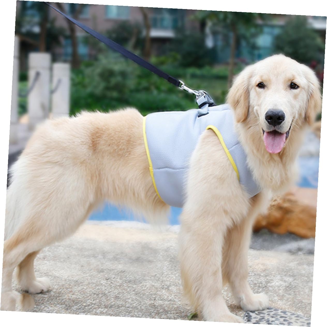 Gilet Refroidissant pour Chien Respirant pour Animaux De Compagnie La Chaleur XL