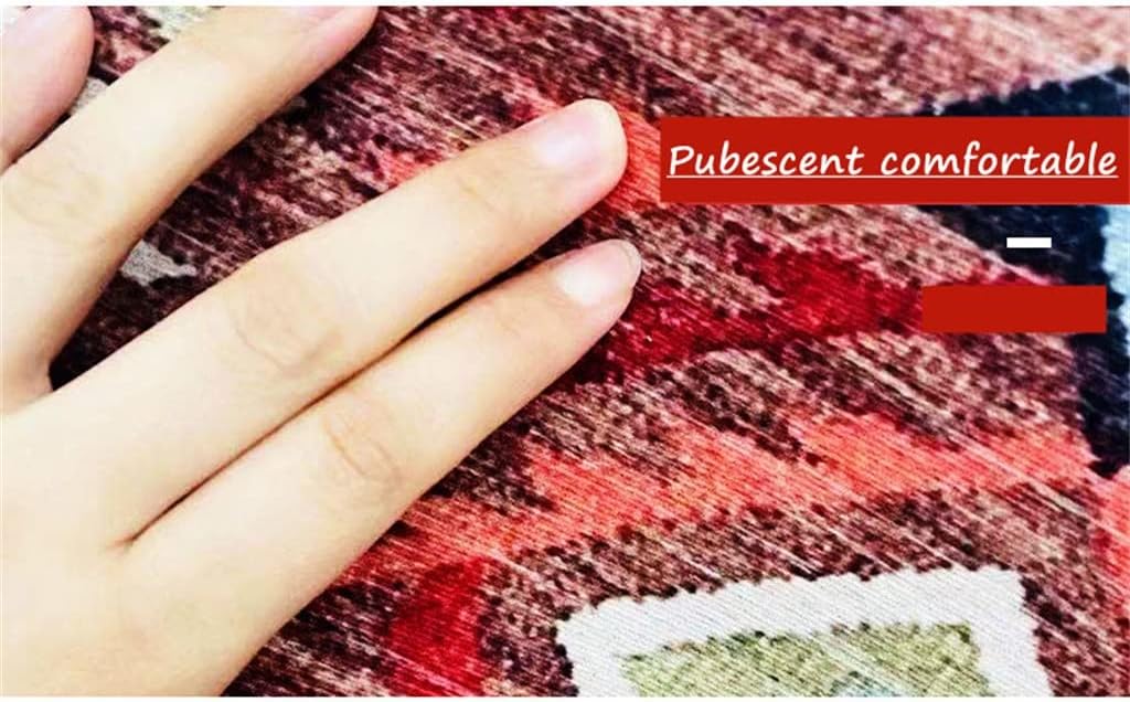 Washable Kitchen Rug Coffee Table Rug Entry Door Mat Bedroom Floor Long Rug Bathroom Home Decor Lint Free Mat(E,50cmx160cm)