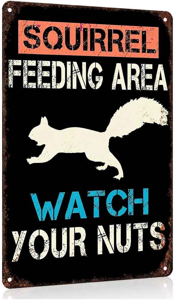 Funny Squirrel Feeding Area Aluminum Metal Sign 8 x 12 Inch