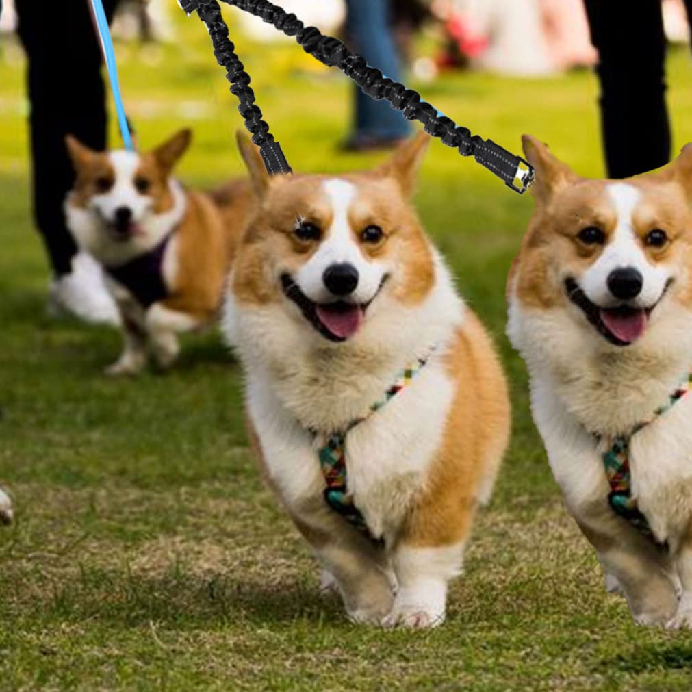 Guinzaglio per Cani Doppio guinzaglio per Animali Domestici Che assorbe Gli Urti guinzaglio Riflettente per 2 Cani per Uso Domestico