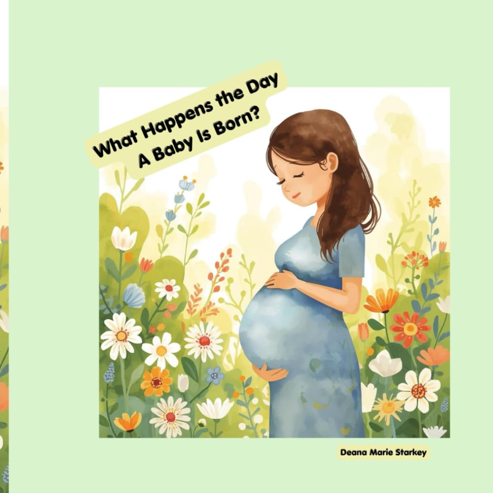 What Happens the Day a Baby Is Born? (Loved You Before You Were Born)