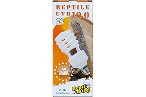 UVB Light for Lizards: Lighten Up Your Pet Reptiles