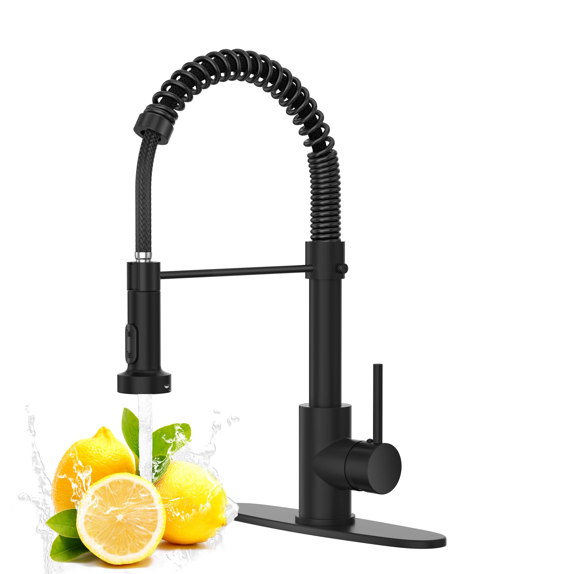 Black Kitchen Faucet with Pull Down Sprayer, High Arc Spring 304