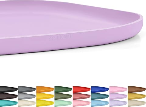 SMILOOL Small Silicone Pet Food Mat with Raised Edge for...