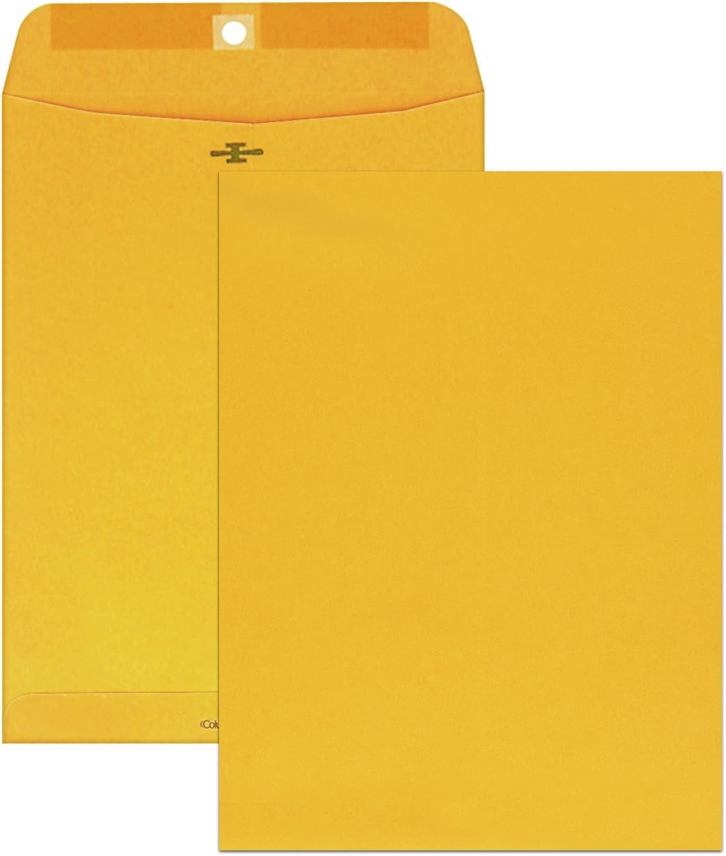 Columbian Clasp Envelopes, 9 x 12 Inches, Brown Kraft, 100 Per Box (CO790)