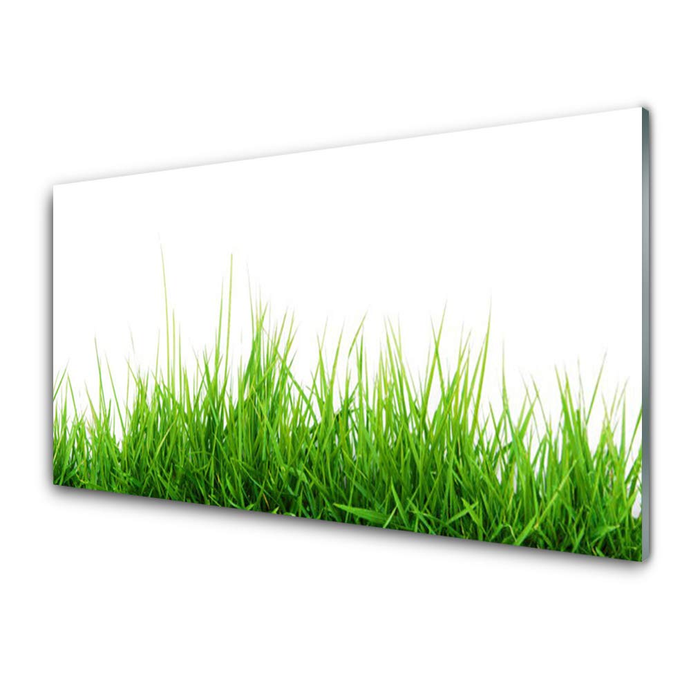 Décoration murale herbe nature en verre trempé Tulup 100x50cm pour un salon moderne et design