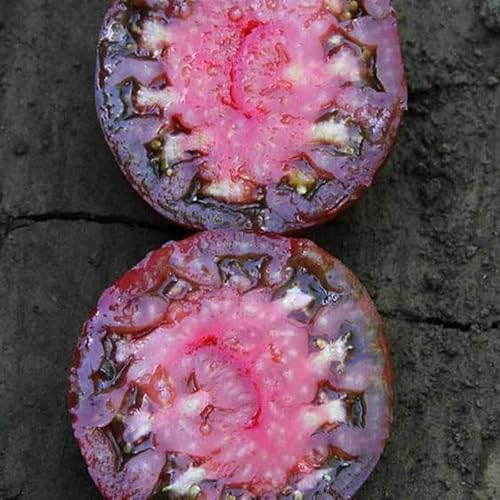 Black Krim Tomato 125 Mg ~33 Seeds – Heirloom, Non-GMO, Indeterminate, Slicing Variety – Heat Tolerant – 75 Days to Maturity – Solanum lycopersicum – Open Pollinated – Garden & Greenhouse.