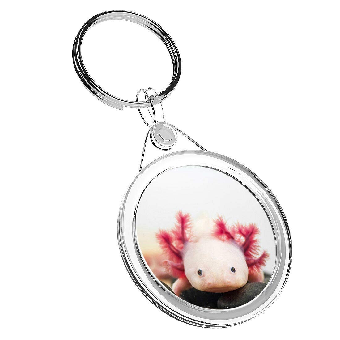 Destination Vinyl Keyrings Unisex Multi 1 X Axolotl Aquarium Dragon Fish - Keyring Ir02 Mum Dad Birthday #3066