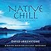 Native Chill: Spirits Calling a Native American