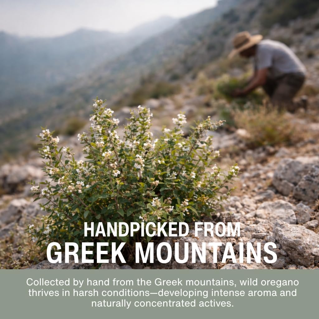 ImunShield Premium Oil of Oregano Drops, Organic Wild Oregano Liquid – High-Potency Carvacrol Profile, Immune & Digestive Support, Vegan, Non-GMO, Gluten-Free – 1 fl oz (30 mL) - Image 3