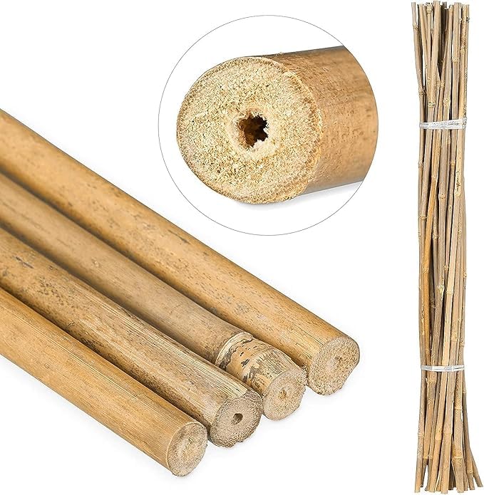 Lot 25 Tuteurs Bambou 150 Cm (10-12 Mm) – Supports Naturels Écologiques Pour Plantes, Légumes, Tomates & Arbres