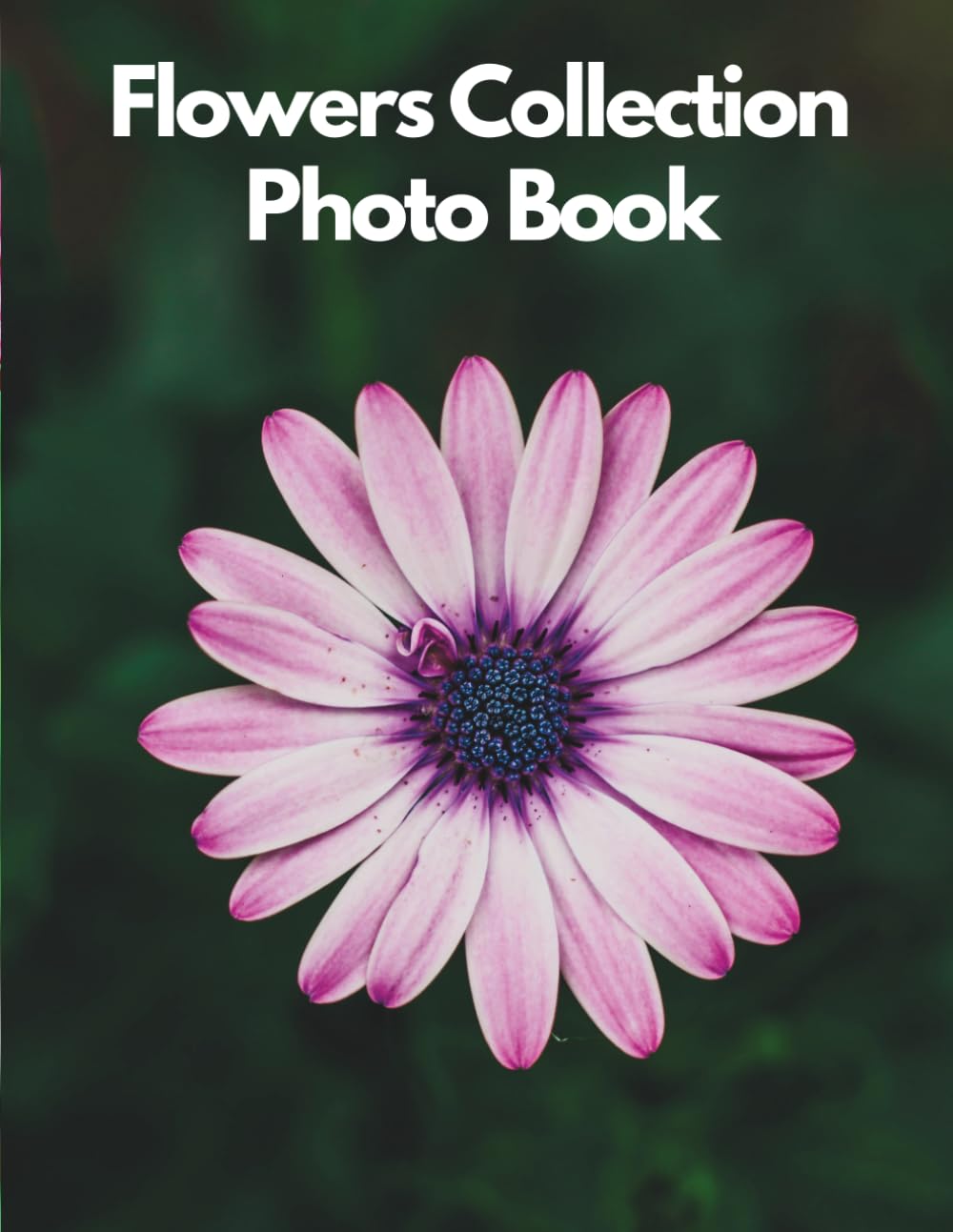 Flowers Collection Photo Book: 100 Breathtaking High-Resolution Images of Rare and Exotic Flowers, Luxury Bouquets, Vibrant Botanical Gardens, ... and Elegant Home Decor Inspiration
