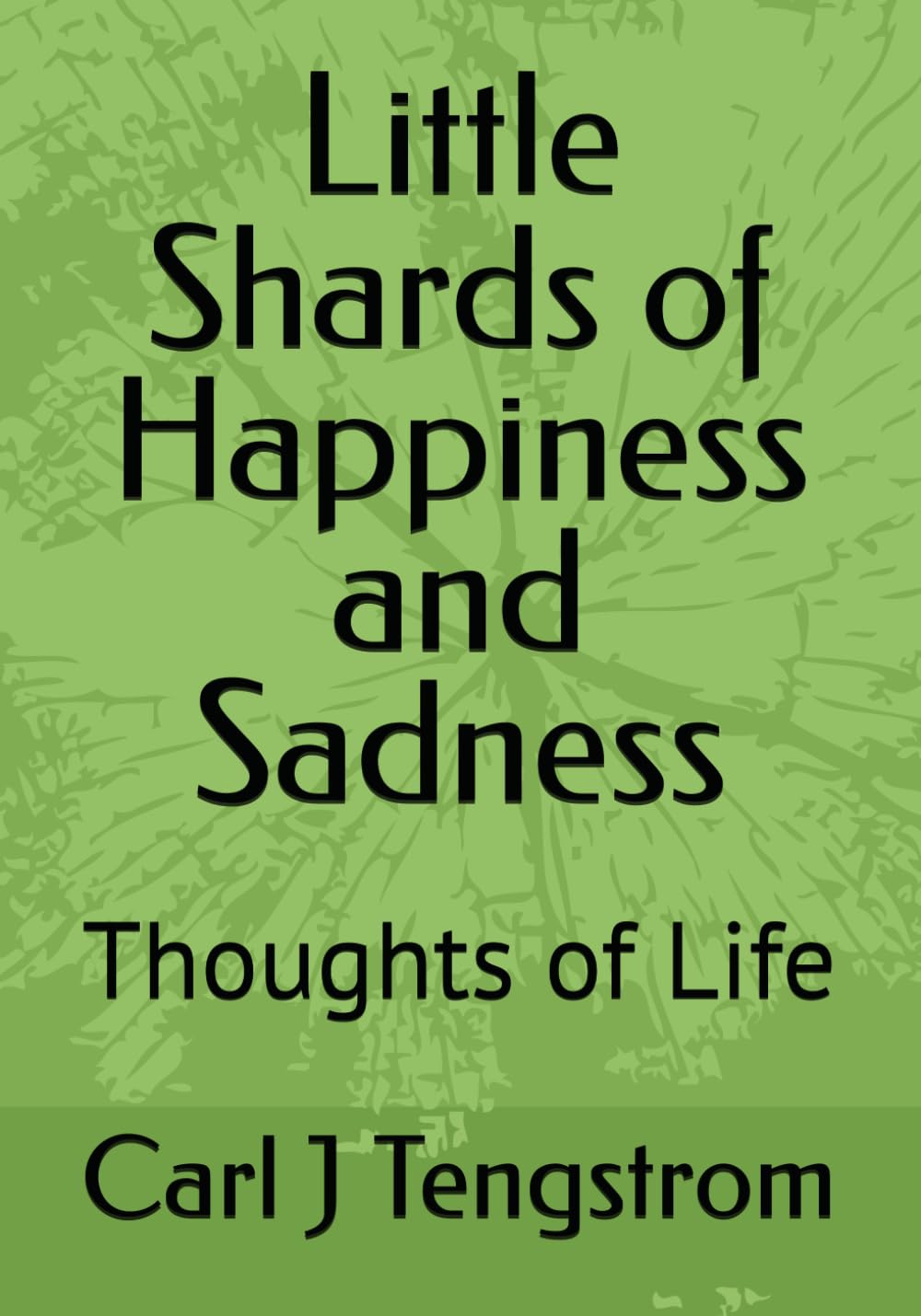 Little Shards of Happiness and Sadness: Thoughts of Life