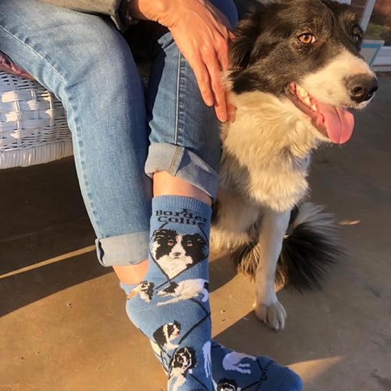 WHD Border Collie Crew Socks for Women & Men | Gift for Dog Lovers, Cute Pet Socks