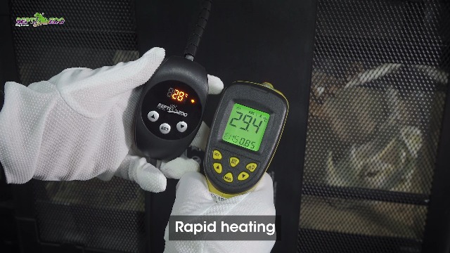 REPTI ZOO Upgrade Reptile Heat Mat with Thermostat - 6 x 8 Inch Reptile Heating Pad with Temperature Control for 10-20 gal Tank Reptiles Amphibians Hermit Crab Snake Lizard - image 7