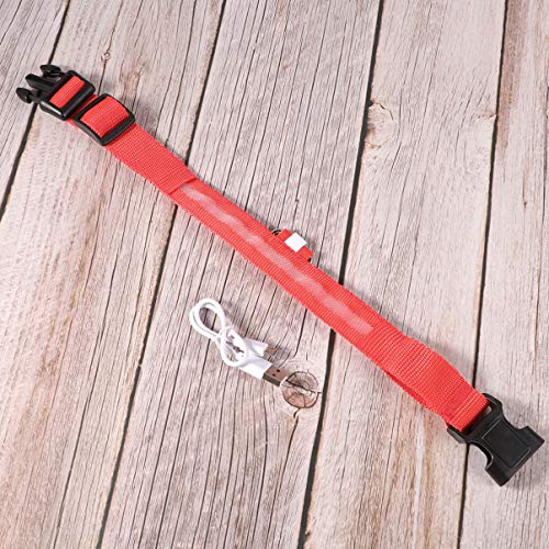 Coleira de cachorro de LED POPETPOP, coleiras personalizadas para cães, anel de animal de estimação