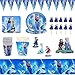 Runup Frozen 61 pezzi di decorazioni per feste di compleanno, tra cui decorazioni a tema congelate, palloncini di buon compleanno, piatti, tazze, tovaglioli e topper