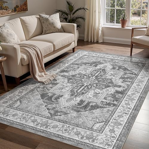 WITSHOCK Living Room Area Rugs 5x7: Washable Rug Boho Soft