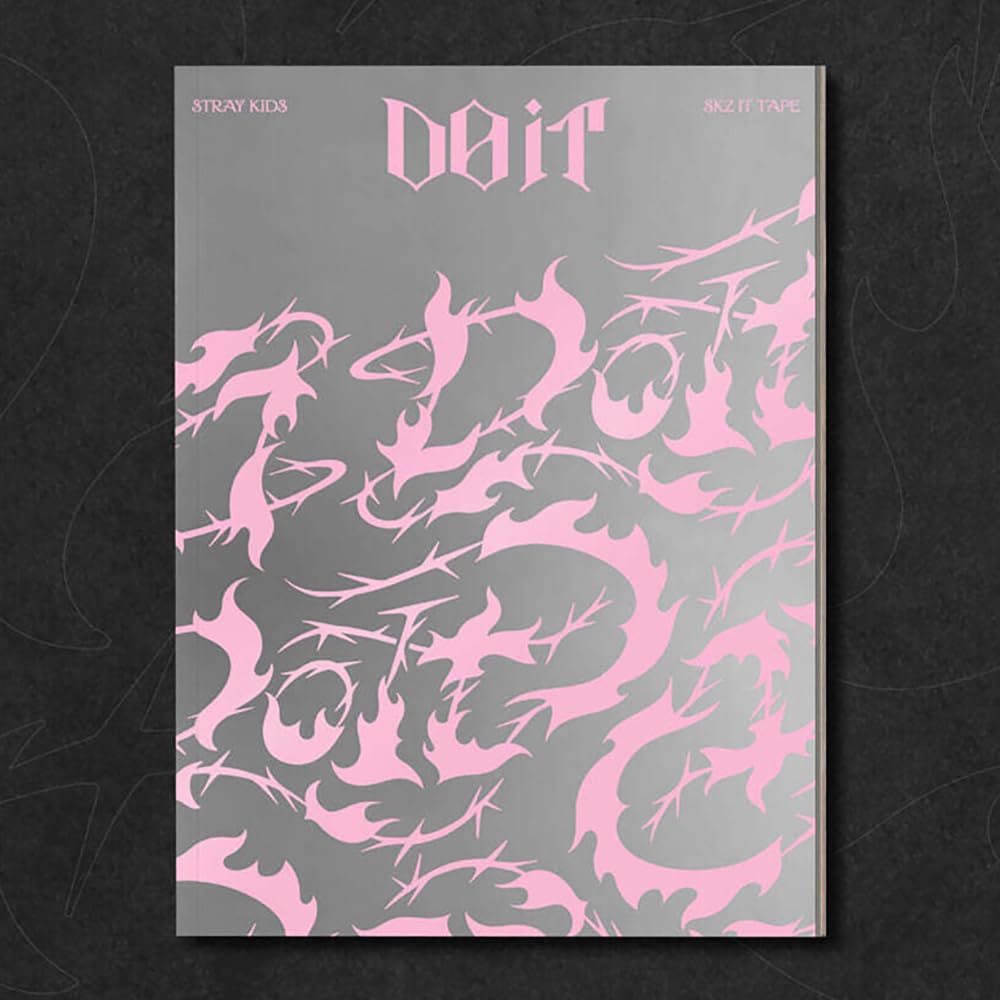 Stray Kids SKZ Do It Tape IT album avec 5 extra photocards et miroir