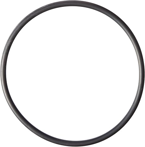 Hayward SPX3200S Strainer Cover O-Ring