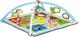 Tapete Centro de Atividades ZP00130, Zoop Toys, Multicor