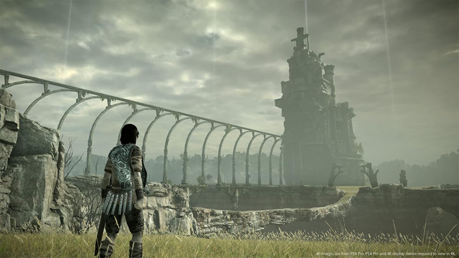 Shadow of Colossus PS4 Playstation 4 Game