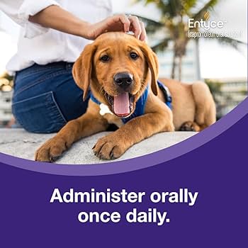 エンタイス　Entyce 食欲刺激剤 30 mL Amazon.com : Entyce Dog Appetite Stimulant | Oral Solution