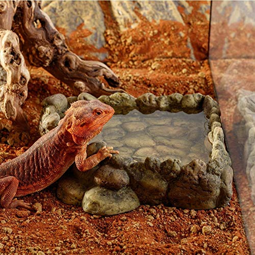 Exo Terra Corner Water Dish, hoekwaterbak, waterschaal voor reptielen, groot - Afbeelding 3