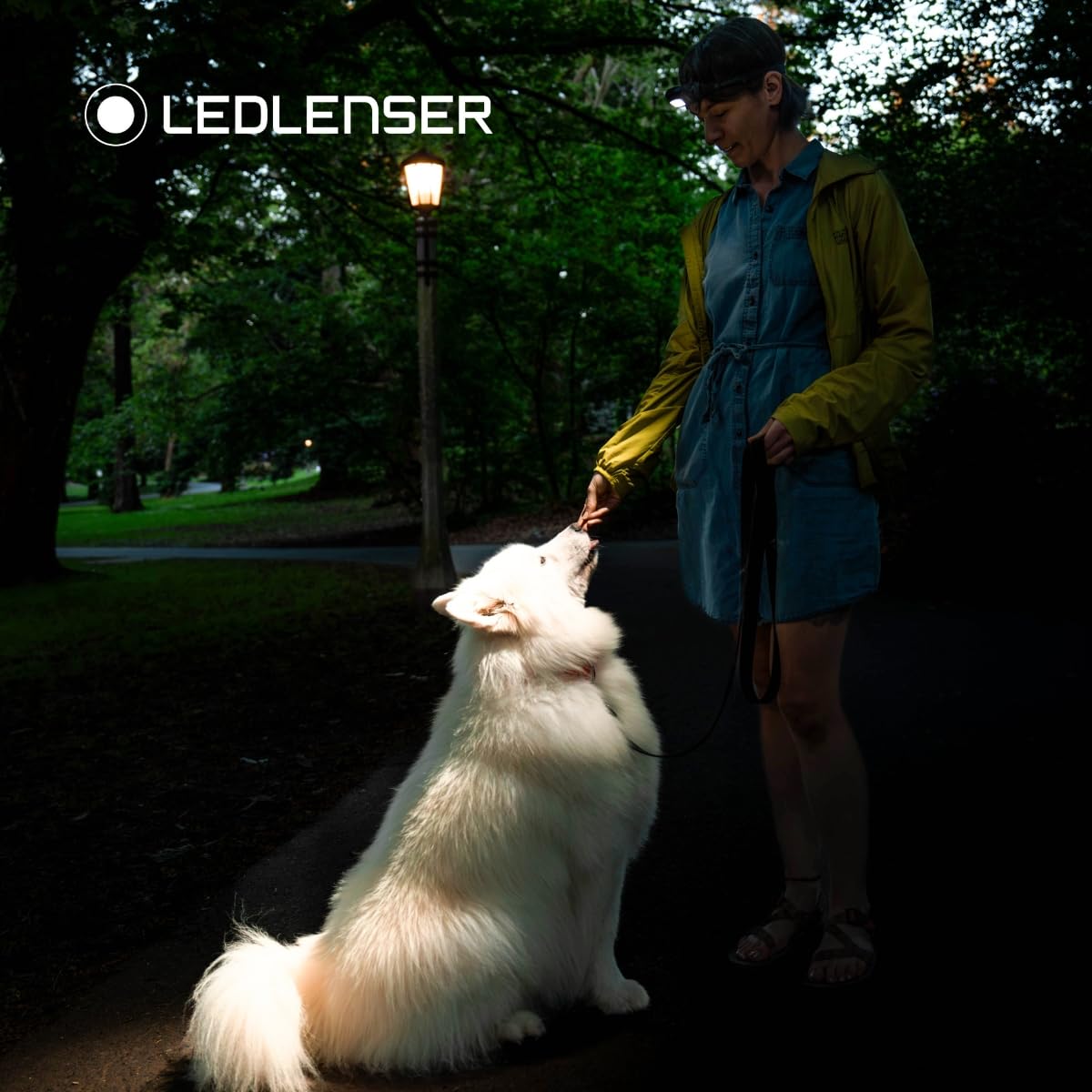 Ledlenser HF4R Core - Lampe Frontale
