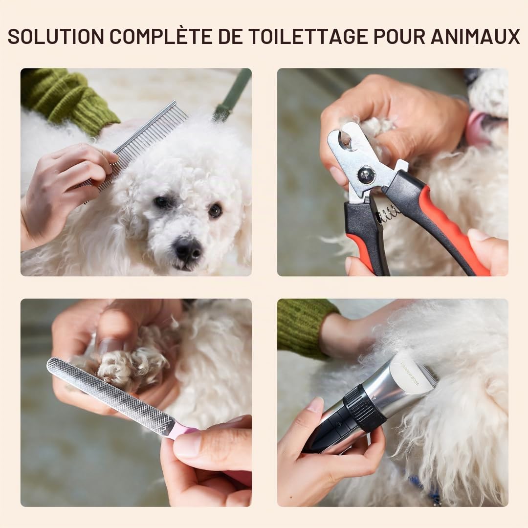 BarberBoss Tondeuse sans fil pour animaux de compagnie, Lames en céramique, écran LED, charge rapide, tondeuse électrique pour chiens et chats, QR-9082