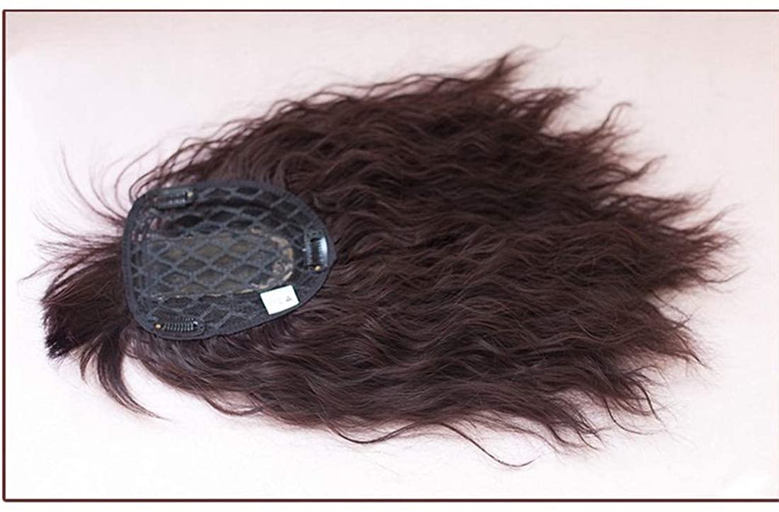 Clip on Curly Synthetic Top Wiglet Hairpieces for Thinning Hair 18" Crown Topper Hairpieces with Bangs for Women, Thick Style, Dark Brown