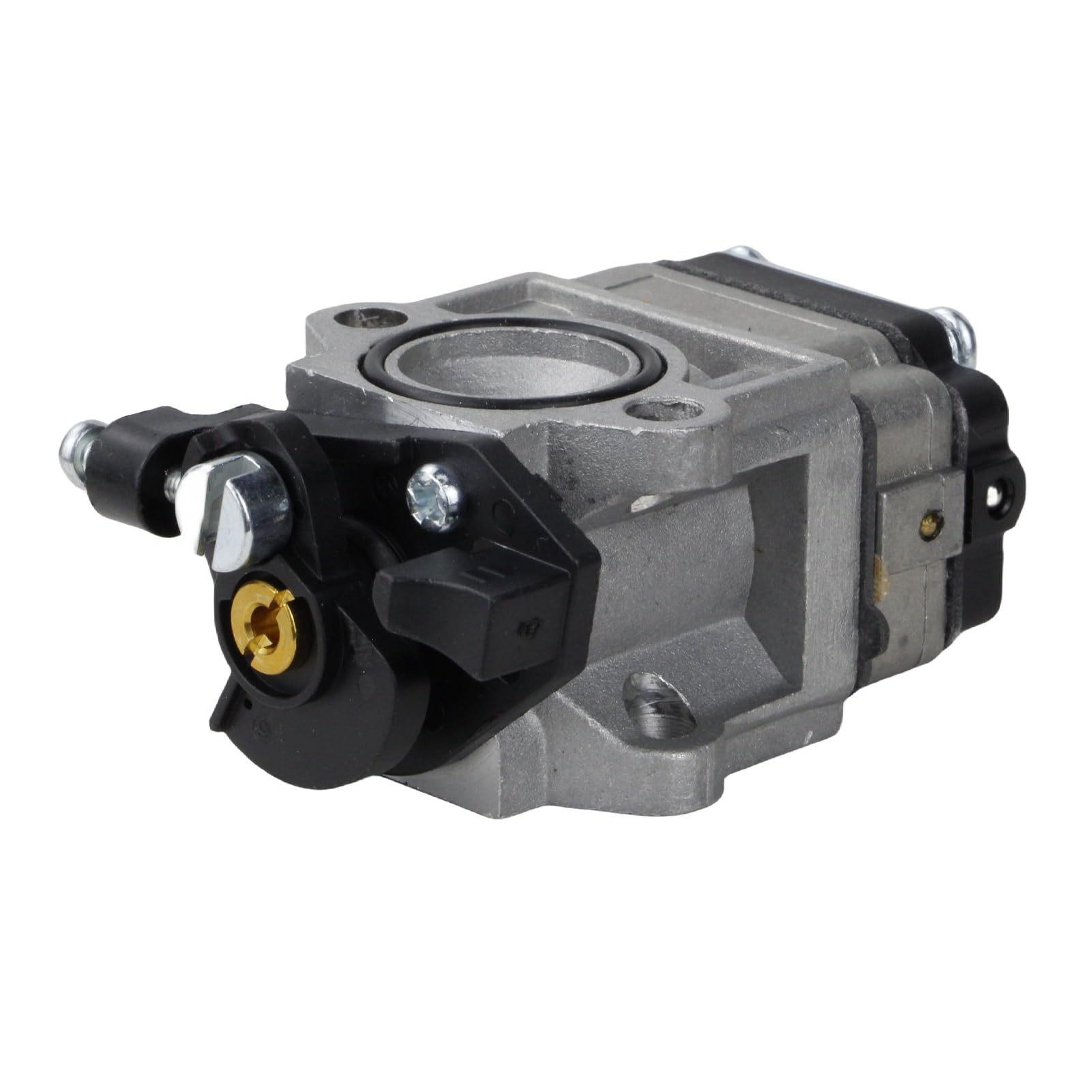 Amazon.com: Carburionix 308054121 RY25AXB Carburetor Compatible 