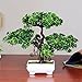 Produktbild Dssttyle Künstlicher Bonsai, Kiefer-Bonsai, Dekoration Double-deck Green Pine