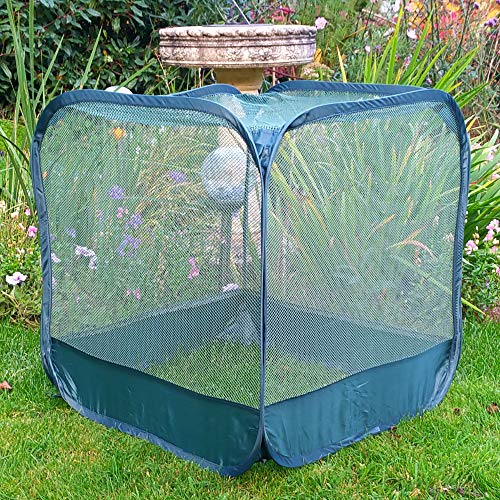 GardenSkill Mini Pop Up Net Fruit Cage - Small Garden Cover Cloche to Protect and Grow Crops Veg Plants (50cm x 50cm x 50cm, X 3) - Image 3