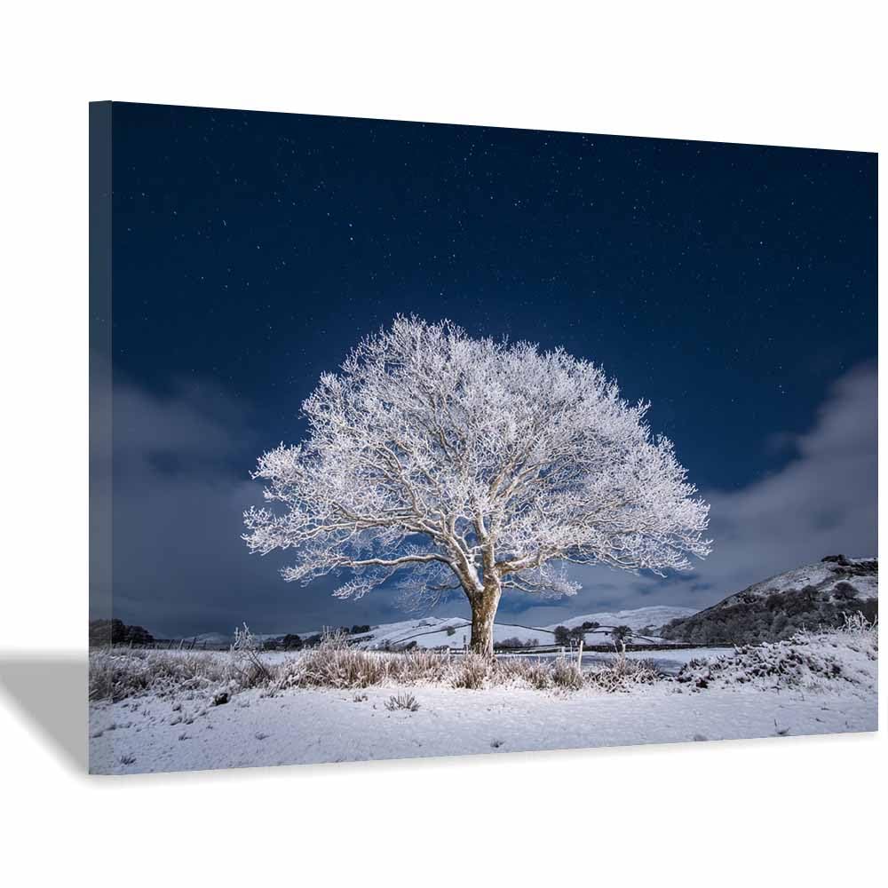 HOQIU Tree Wall Art Lake lights willows artwork, home canvas prints, for Bathroom Living Room Bedroom(Multicolor)-30x40cm Framed
