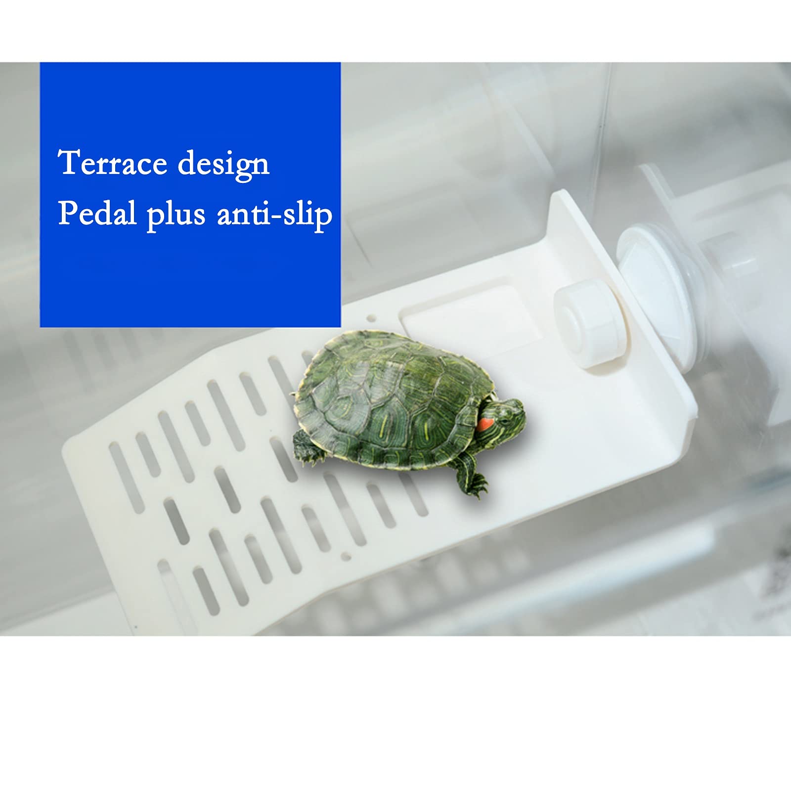 Acquario per Tartarughe Serbatoi di tartaces con terrazze, serbatoi speciali for allevare tartarughe, serbatoi di pesce for alzare le tartarughe, tartarughe vive, carri armati di acqua e terra Tartaru