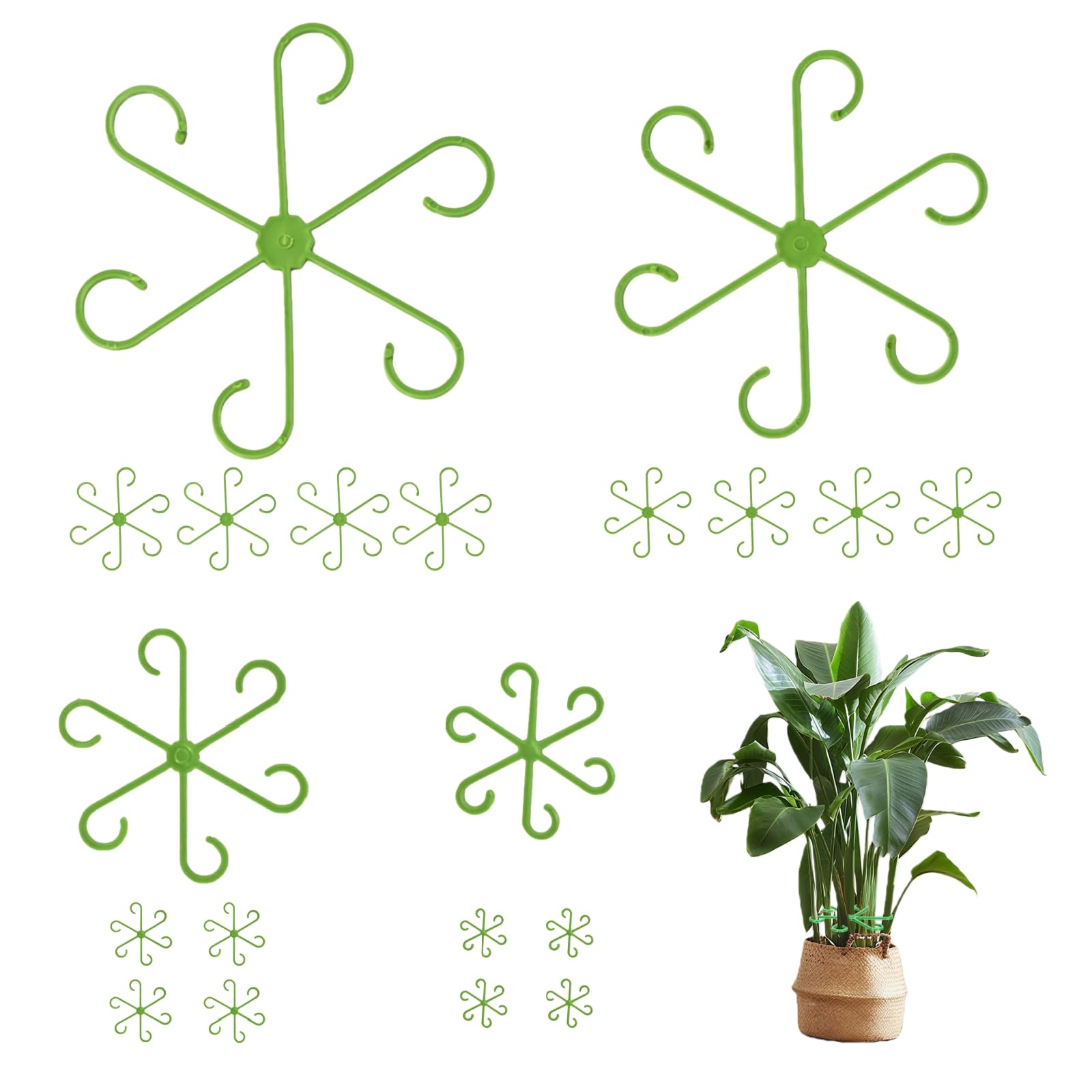 Plant Stem Supports - Stabilize Climbing Plants -1 Plant Stem Supports - Stabilize Climbing Plants -1
