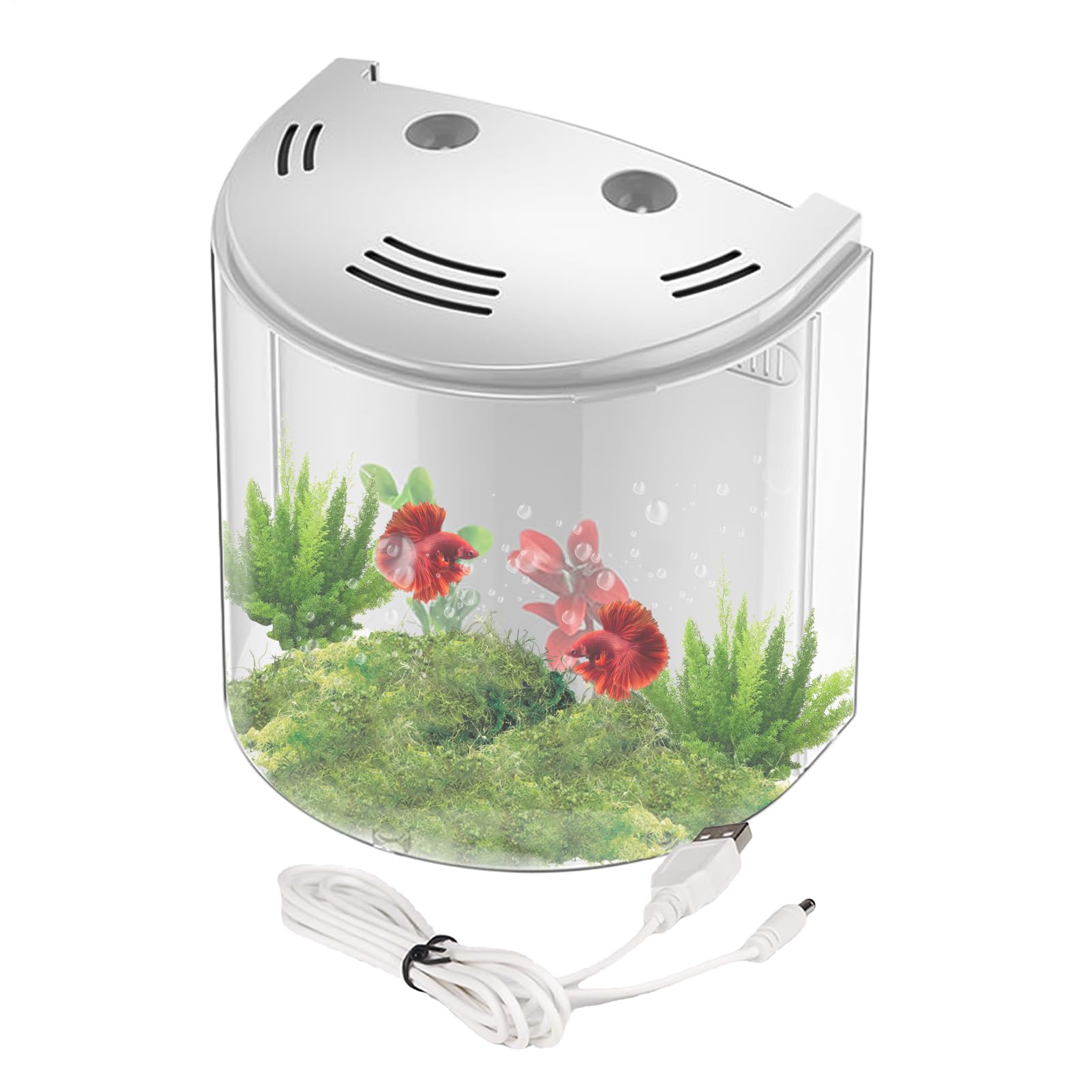 Aquarium de Bureau avec Filtre et lumière en Acrylique, Transparent avec Pompe à Eau pour Betta, escargots, crabes, étoiles de mer - Petits Habitat