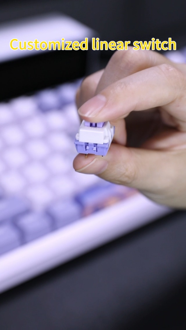 Amazon.com: MageGee SKY81 75% Wireless Gasket Mechanical Gaming