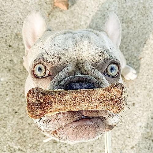 Nylabone Healthy Edibles Long-Lasting Dog Treats - Natural Dog Treats For Medium Dogs - Dog Products - Roast Beef Flavor, Medium/Wolf (2 Count) #TOP1