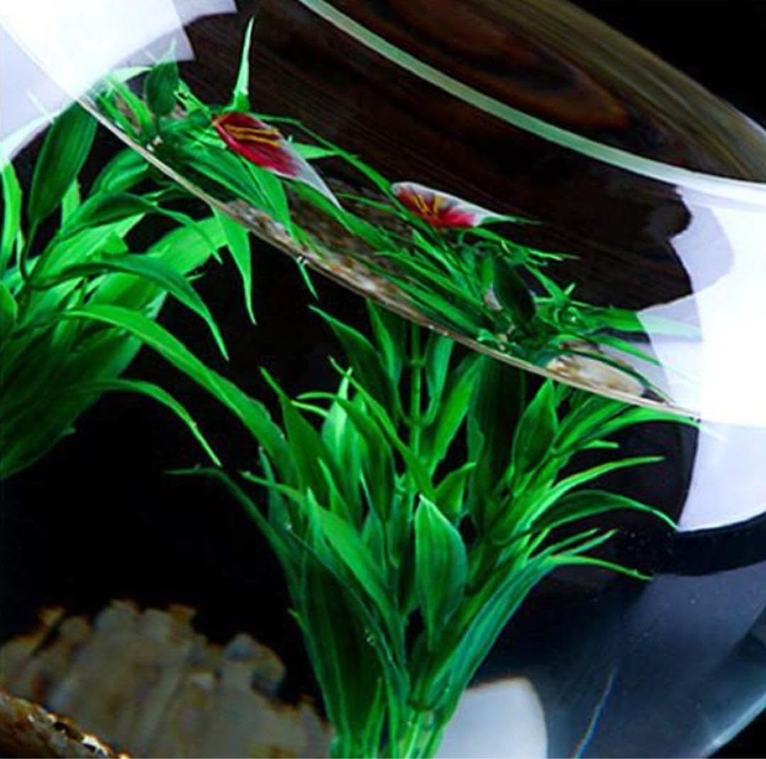 Amazon.co.jp: 金魚鉢 ガラス テラリウム アクアリウム 花瓶 水槽 容器