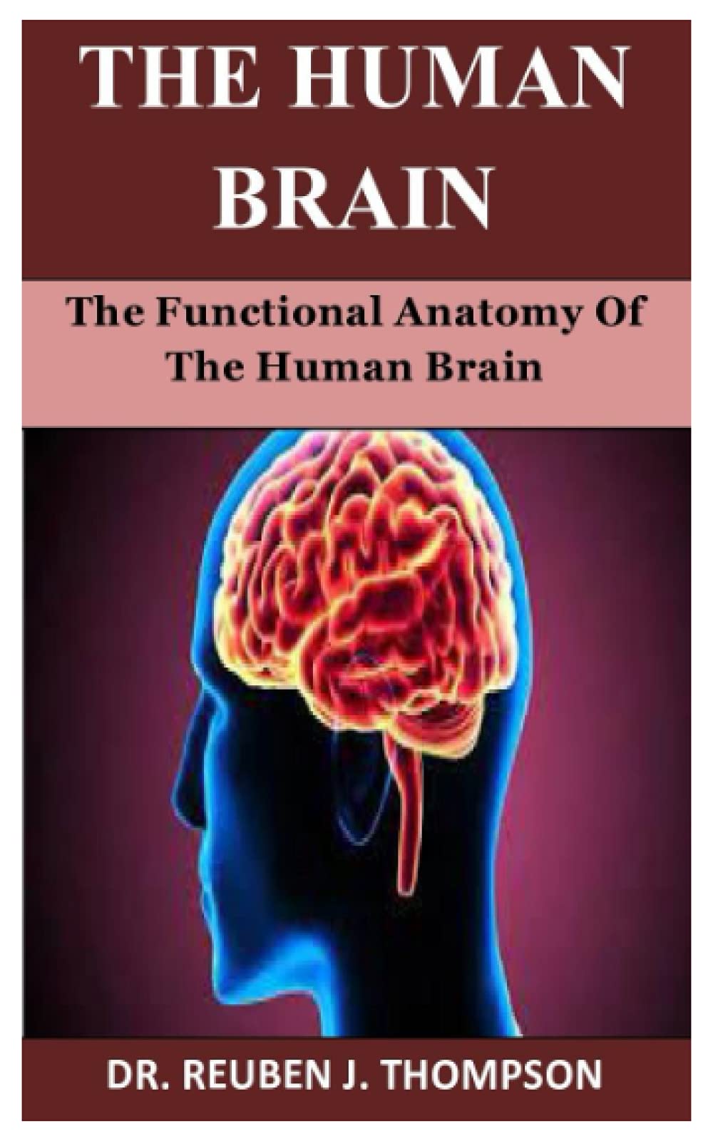 The Human Brain: The Functional Anatomy Of The Human Brain