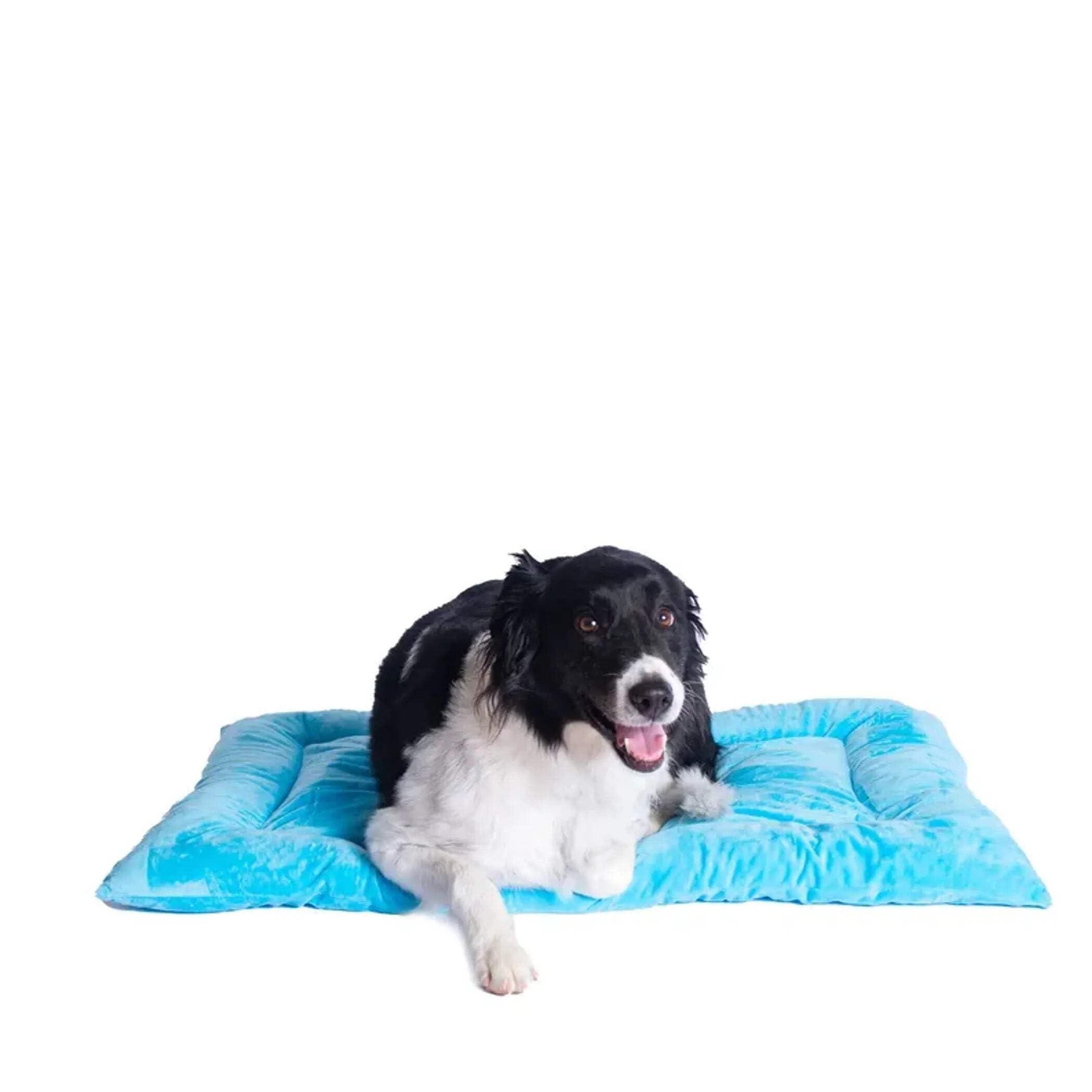 ARMARKAT Mata do legowiska dla zwierząt domowych 89 cm na 56 cm na 7 cm M01 - duża, różowa