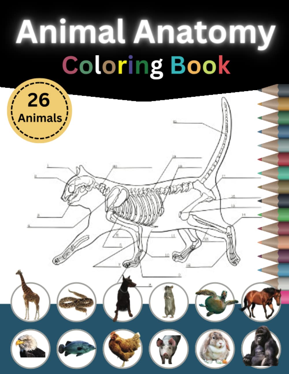 Buy Animal Anatomy Coloring Book 26 Animals Veterinary SelfTest